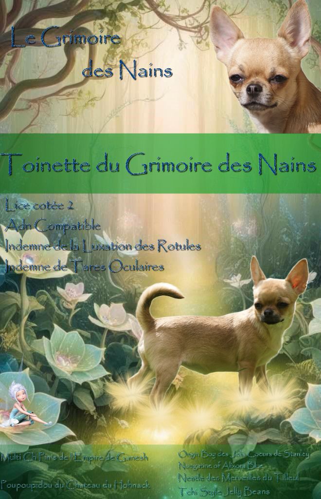 Toinette Du Grimoire Des Nains