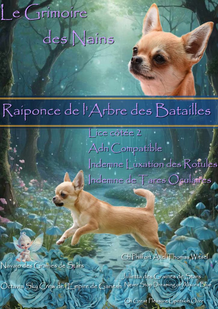 Raiponce de L'Arbre des Batailles