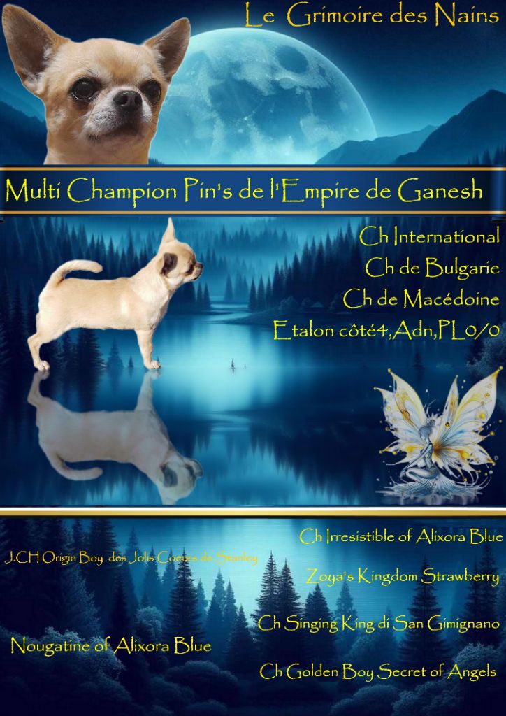 CH. Pin's De L'empire De Ganesh