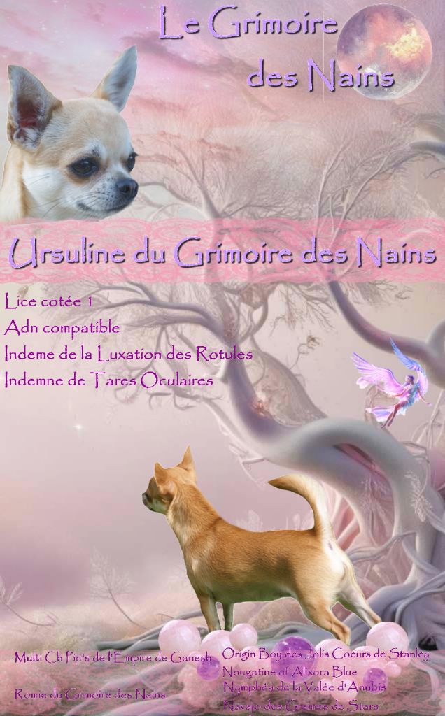 Ursuline Du Grimoire Des Nains