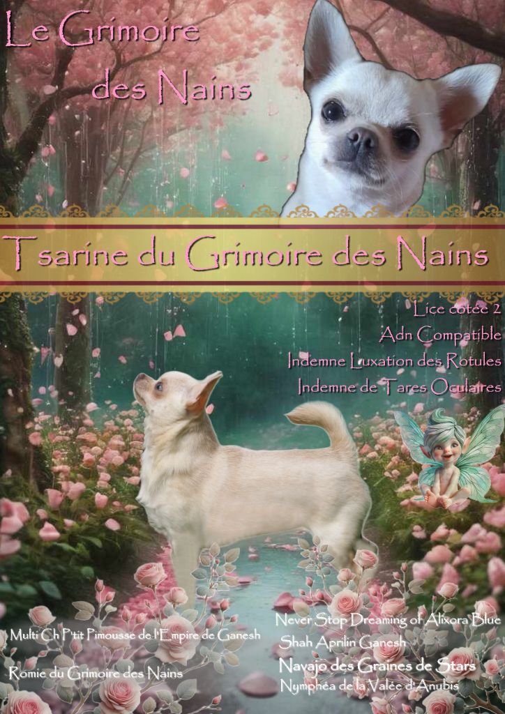 Tsarine Du Grimoire Des Nains