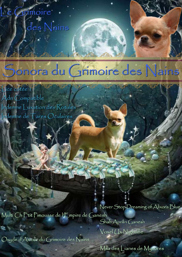 Sonora Du Grimoire Des Nains