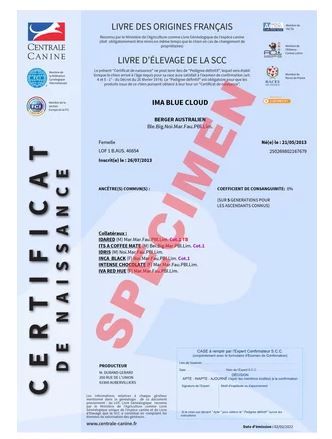Le certificat de naissance L.O.F numérique