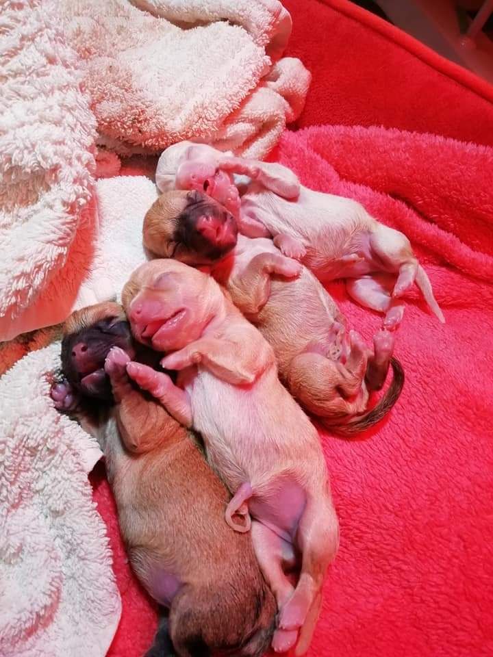 Photos de nos bébés entre la naissance et 2mois 