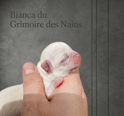 Bianca du Grimoire des Nains